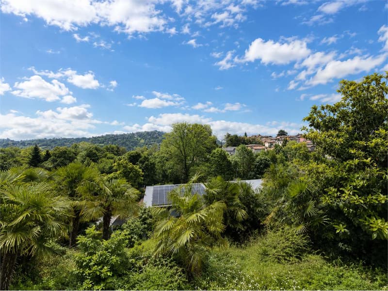 Building Land - Cassina d'Agno (2)