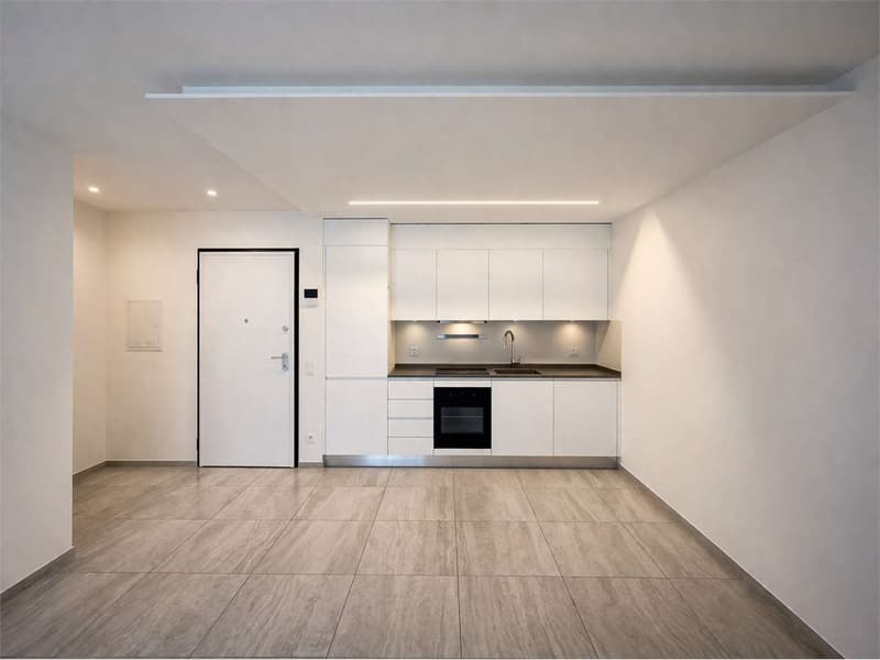 2,5 locali con giardino - Carabbia (2)
