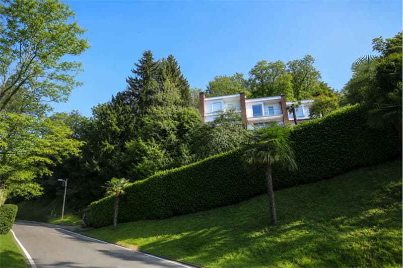 Lakeside Villa with Private Dock in Montagnola (3)
