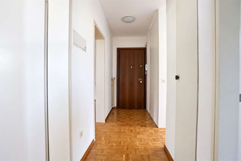 3,5 locali a Breganzona (3)
