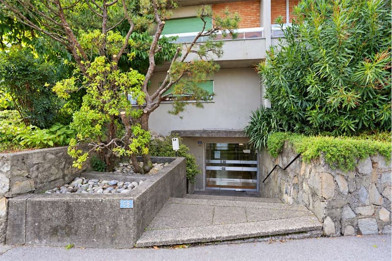 3,5 locali a Breganzona (7)