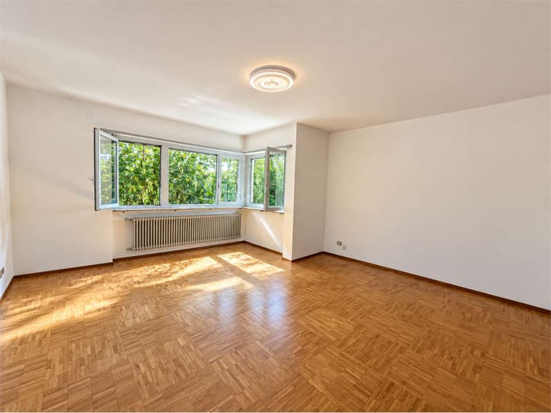 Monolocale a Cassarate - Casa Secondaria (13)