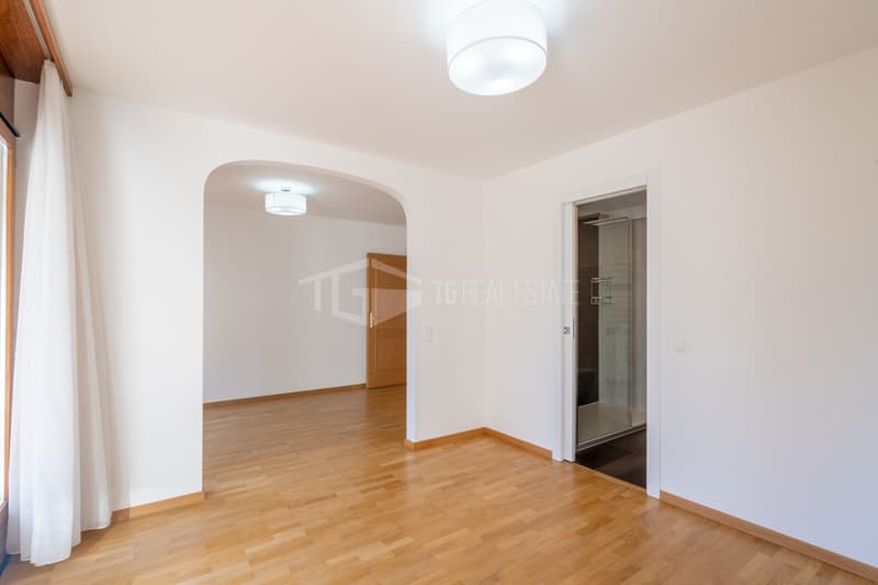 Geräumige 5.5-Zimmer-Villa, umgeben von Grün, nur zwei Schritte von der Stadt entfernt (12)