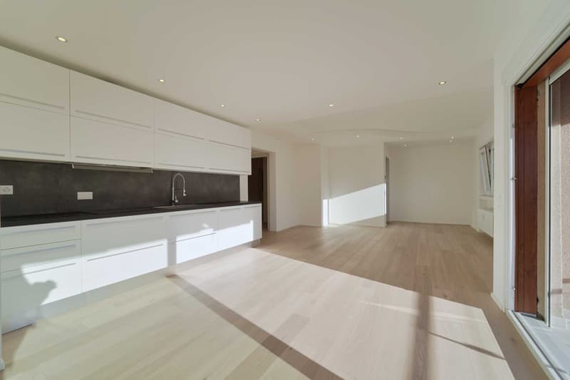 Appartement moderne de 4 pièces à Lugano (1)