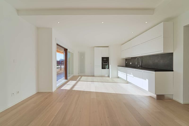 Appartement moderne de 4 pièces à Lugano (4)