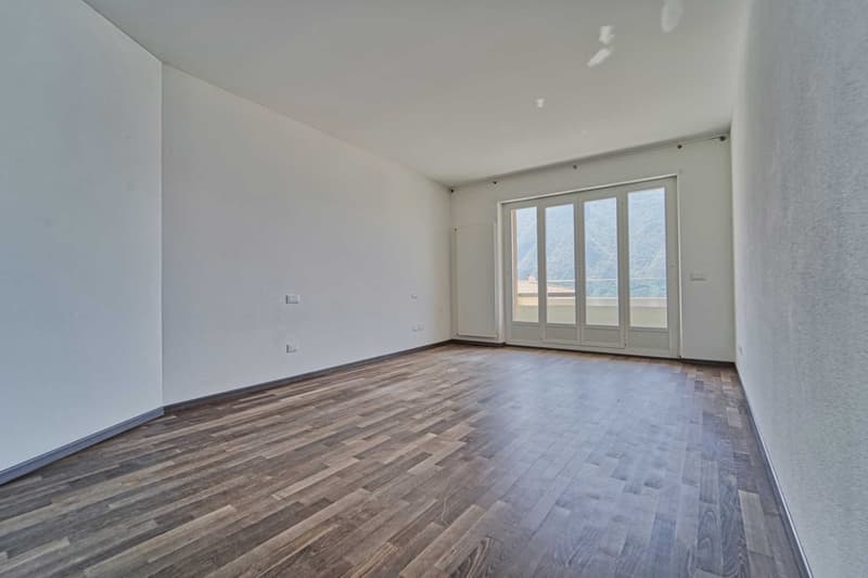 Charming apartment in Castagnola with splendid lake view (4)