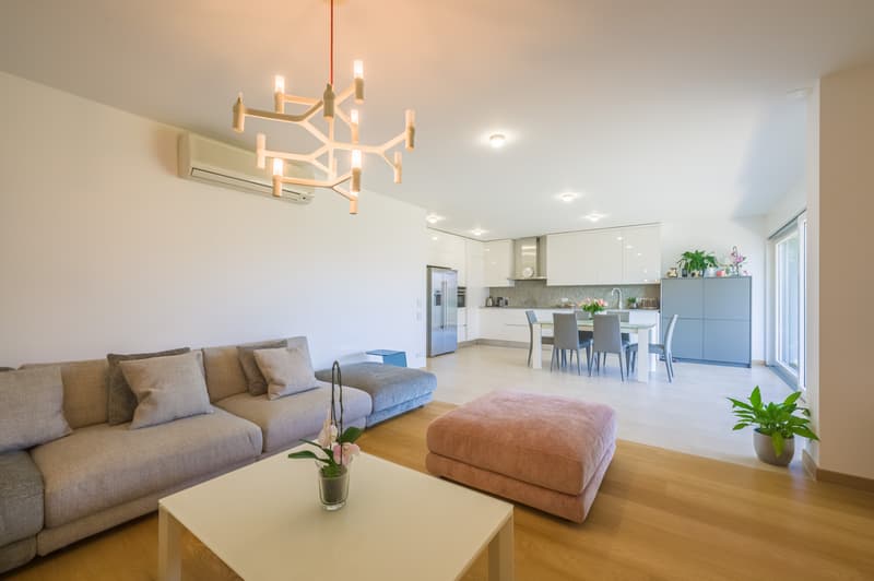 Spacious 6.5-room apartment with garden near TASIS school (6)