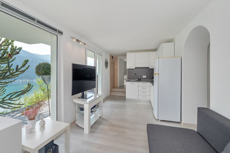 MAISON AVEC VUE SUR LE LAC ET GRAND JARDIN (2)