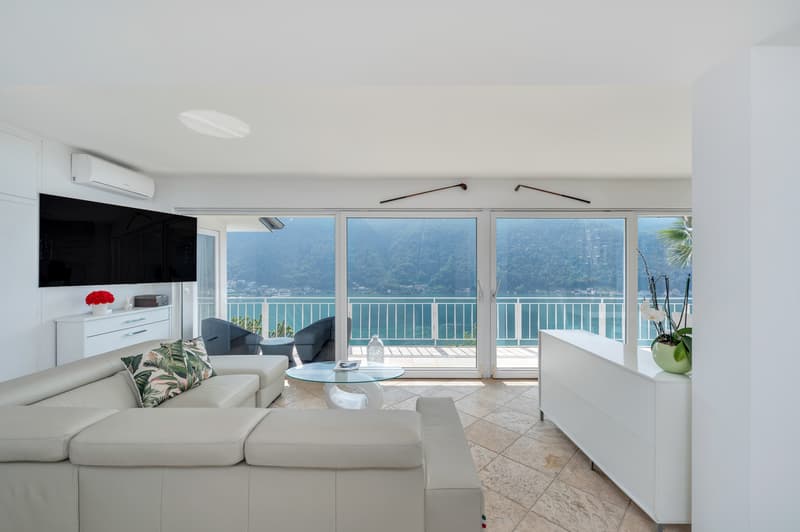 MAISON AVEC VUE SUR LE LAC ET GRAND JARDIN (10)