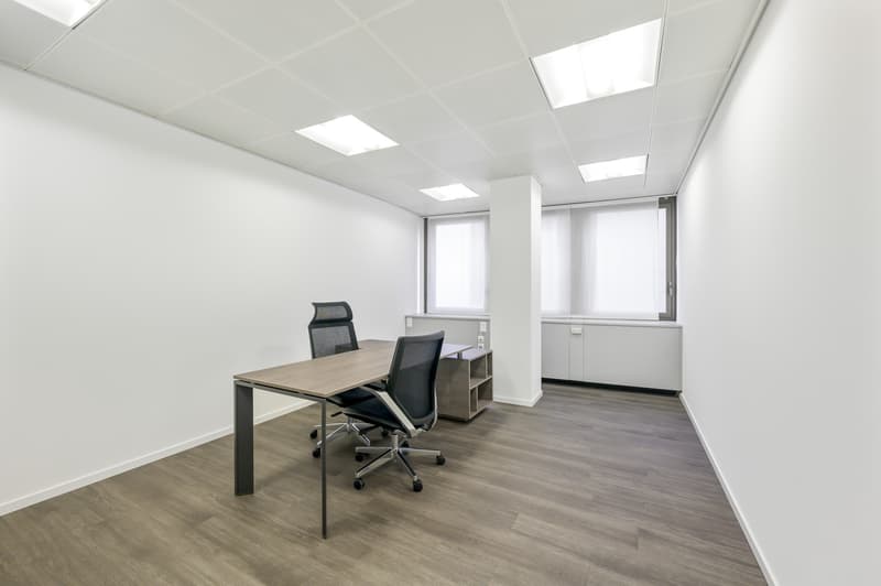 Spacious office in Paradiso (4)