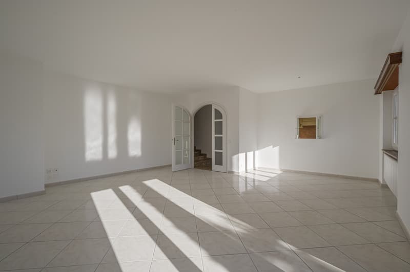 ACCOGLIENTE 5.5 LOCALI CON GIARDINO PRIVATO (9)