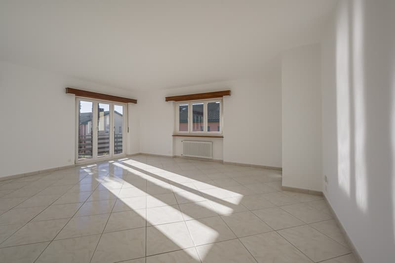 ACCOGLIENTE 5.5 LOCALI CON GIARDINO PRIVATO (2)