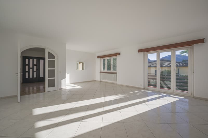 ACCOGLIENTE 5.5 LOCALI CON GIARDINO PRIVATO (5)