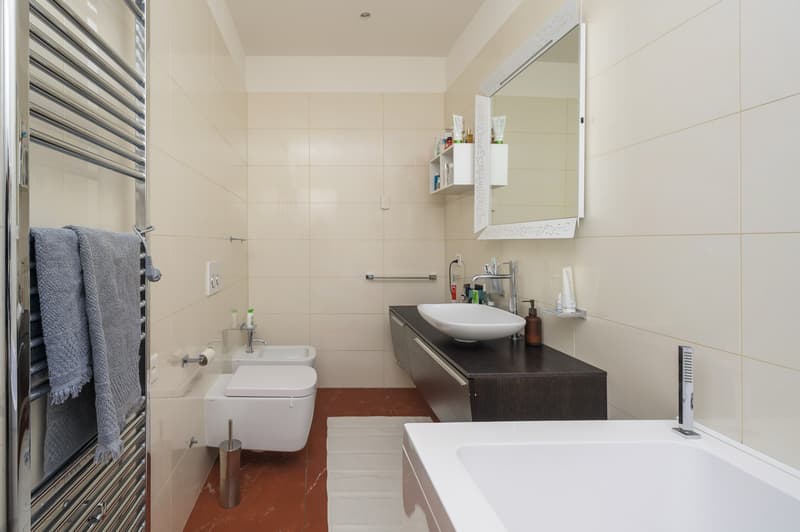 3.5 rooms in Lugano city center (5)
