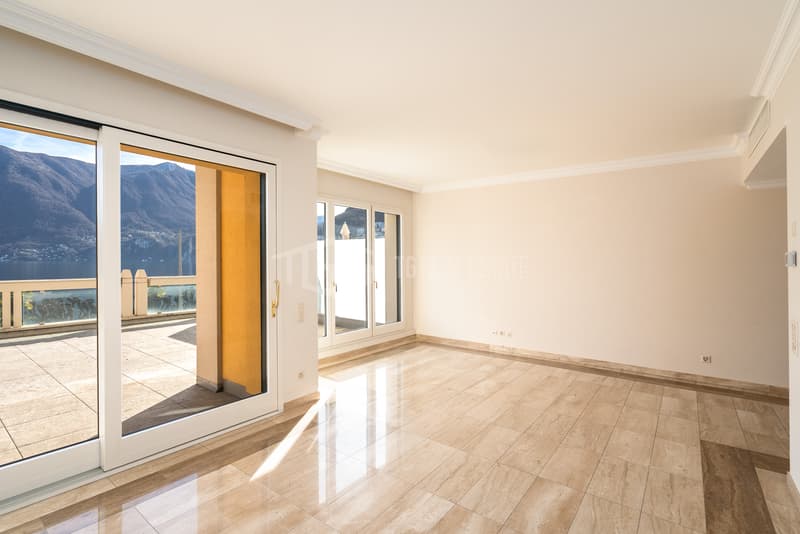 Splendide appartement avec grande terrasse et vue sur le lac (6)