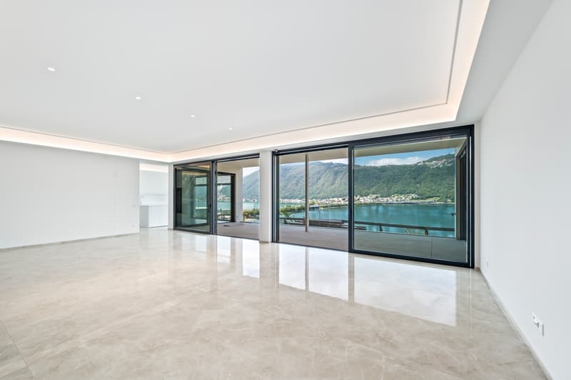 LUXURIOUS 5.5-ROOM APARTMENT WITH LAKE VIEW (3)