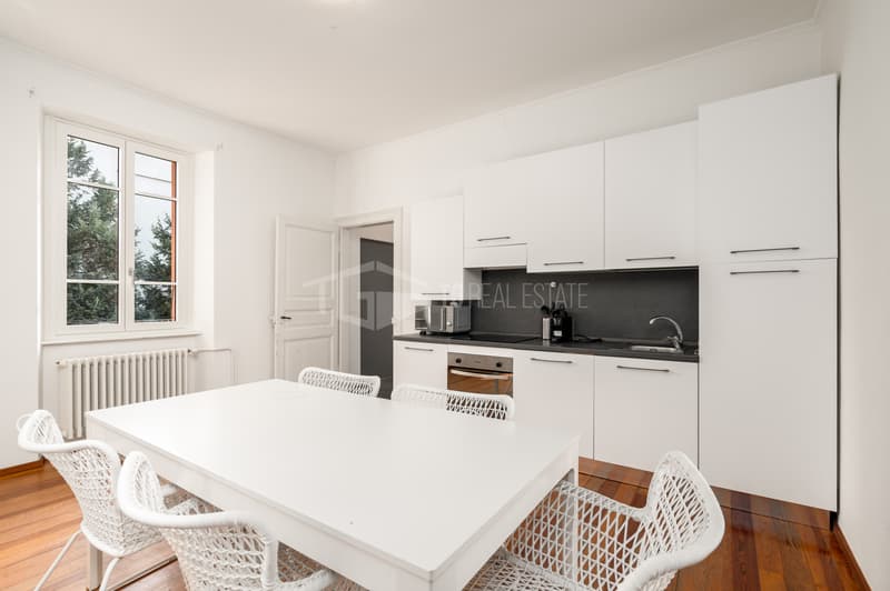 Duplex de 4,5 pièces, complètement meublé (7)