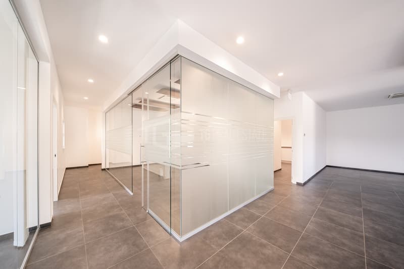 Modern Office in Manno (8)