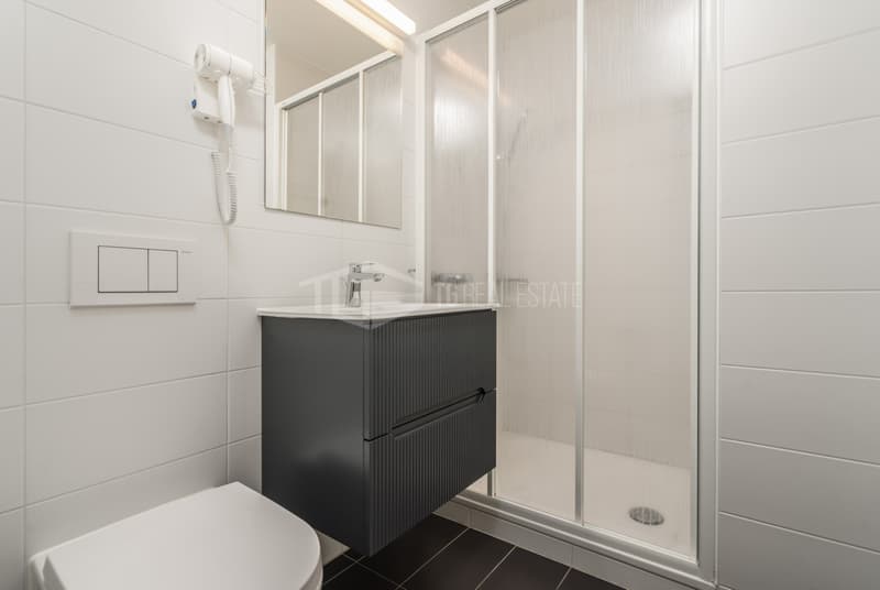 ELEGANTE 2.5 LOCALI NEL CUORE DI LUGANO (9)