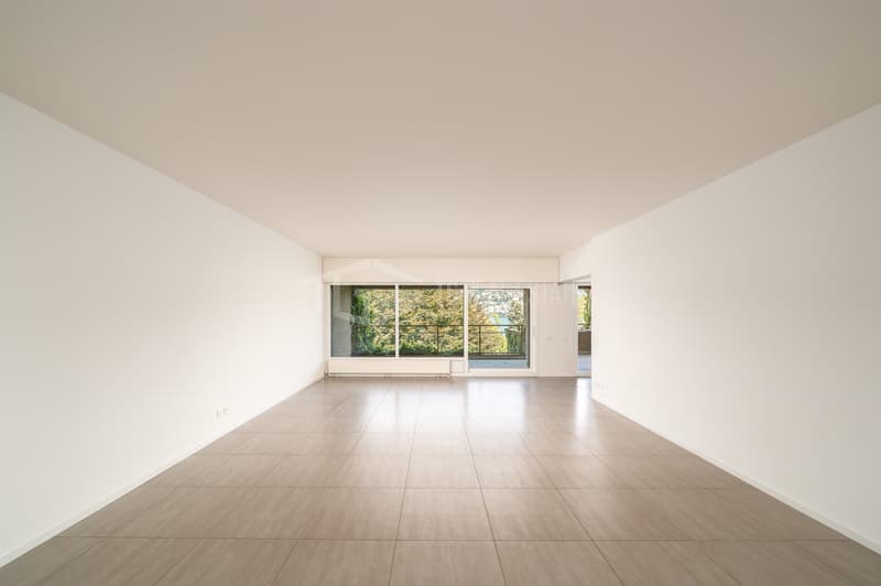 DUPLEX DI 4.5 LOCALI CON VISTA LAGO A PARADISO (2)