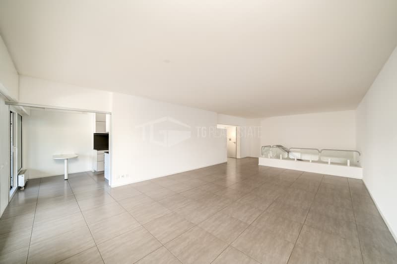 DUPLEX DI 4.5 LOCALI CON VISTA LAGO A PARADISO (1)