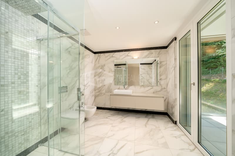 Prestigious 4.5-room apartment with stunning lake view (3)