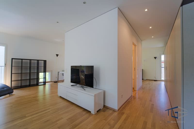 LOFT CON TERRAZZA ARREDATO A LUGANO (2)
