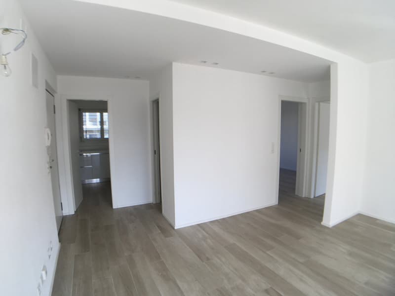 Nuovo 3.5 locali Breganzona (8)