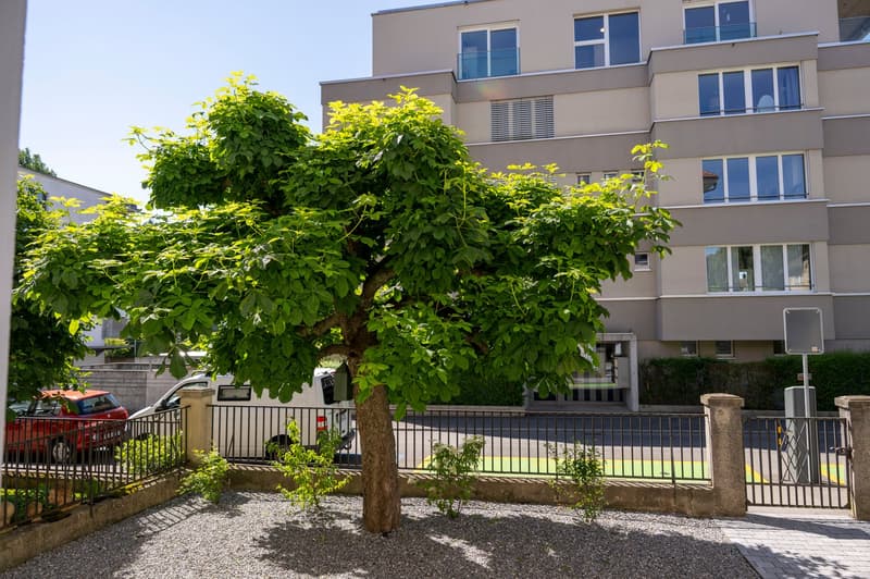 Premier occupant d'un charmant appartement 2,5 pièces, partiellement meublé avec un espace de sièges et une belle cour intérieure (12)