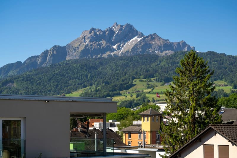 Premier contrat de location d'un charmant appartement 2.5 pièces dans un endroit calme avec une belle cour intérieure et vue sur le Pilatus (7)