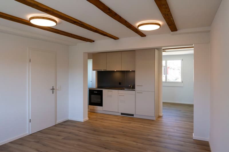 Premier contrat de location d'un charmant appartement 2.5 pièces dans un endroit calme avec une belle cour intérieure et vue sur le Pilatus (2)