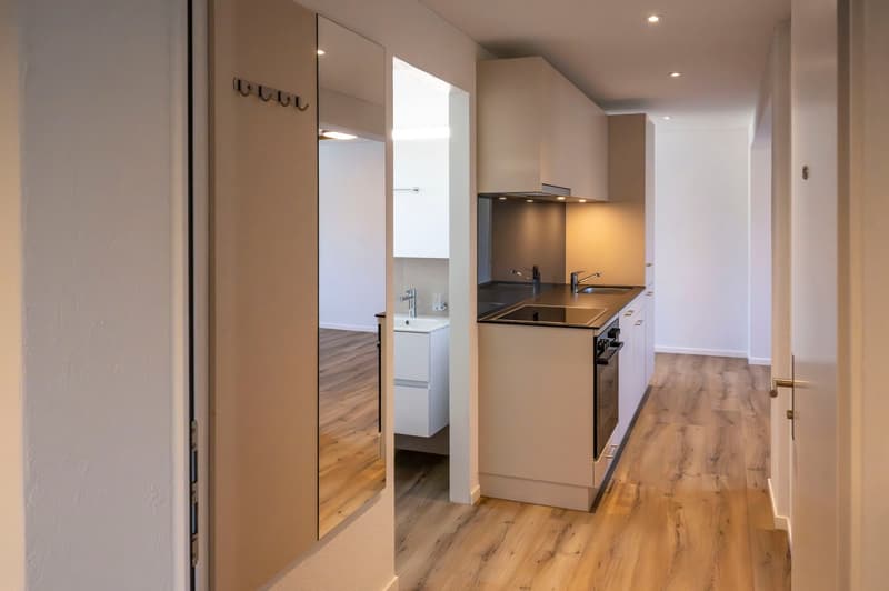 Erstbezug Charmante 2.5-Zimmer-Wohnung an ruhiger Lage mit schönem Innenhof und Pilatusblick (4)