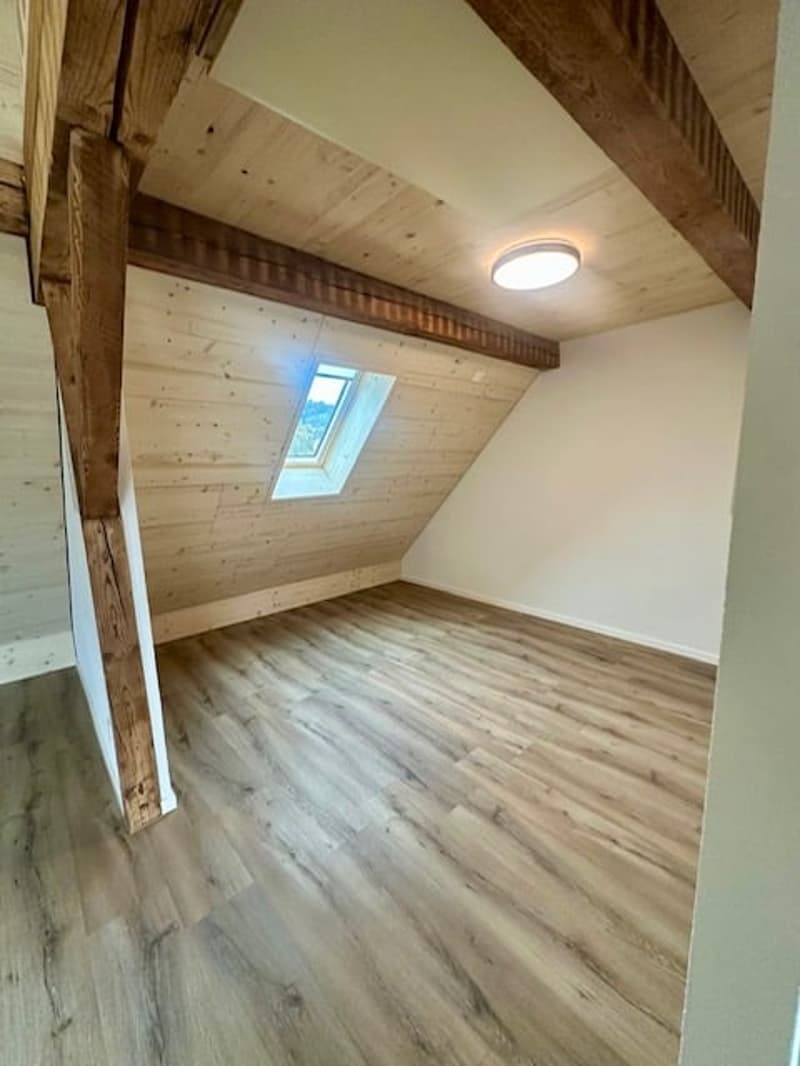 Erstbezug Charmante Loft-Dachwohnung mit grossem Balkon an ruhiger Lage mit schönem Innenhof (10)