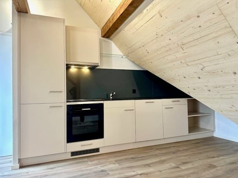 Erstbezug Charmante Loft-Dachwohnung mit grossem Balkon an ruhiger Lage mit schönem Innenhof (8)