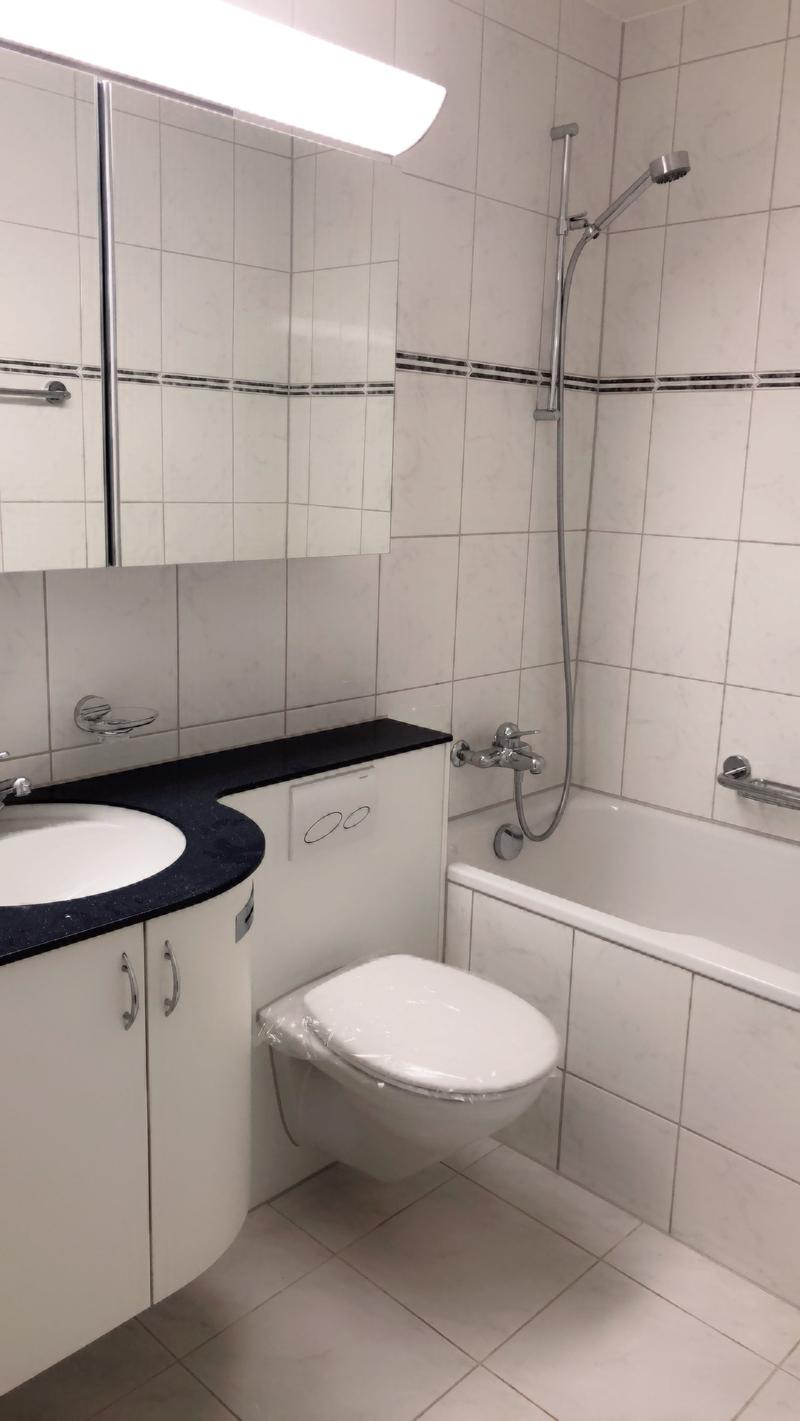 Votre maison dans un excellent emplacement à 6014 Luzern-Littau (10)