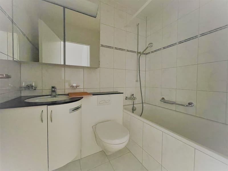 Votre maison dans un excellent emplacement à 6014 Luzern-Littau (11)