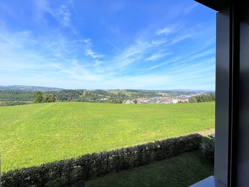Votre maison dans un excellent emplacement à 6014 Luzern-Littau (9)