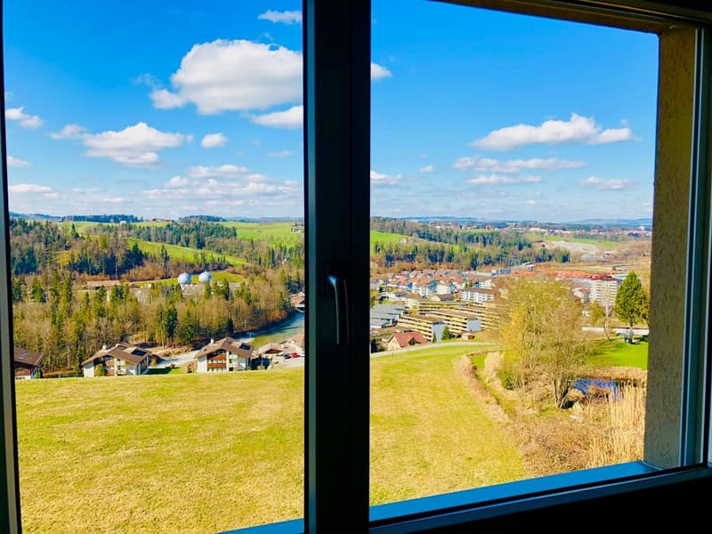 Votre maison dans un excellent emplacement à 6014 Luzern-Littau (8)