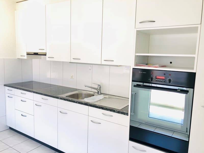 Votre maison dans un excellent emplacement à 6014 Luzern-Littau (6)