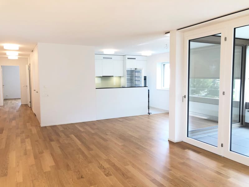 Appartamento da sogno a Neuhushof a 6014 Luzern-Littau (4)