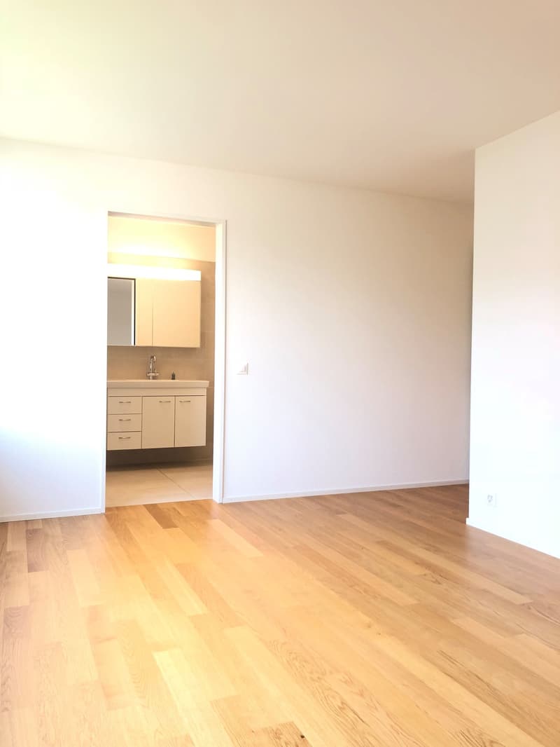 Appartamento da sogno a Neuhushof a 6014 Luzern-Littau (9)