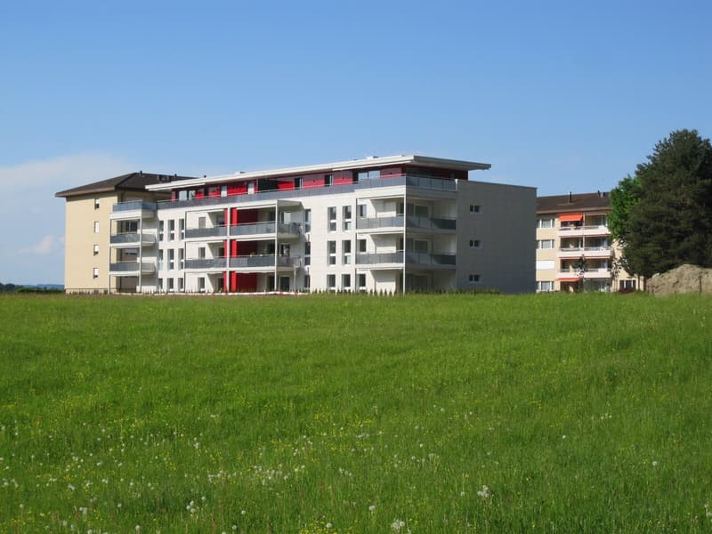 Appartement avec place assise dans le jardin : de haute qualité et proche de la ville dans le quartier populaire de Lucerne-Littau (17)
