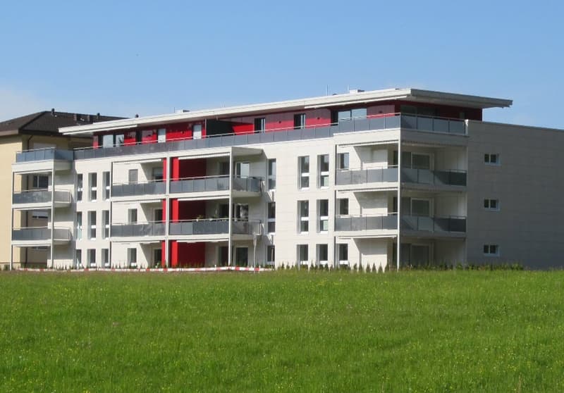 Appartement avec place assise dans le jardin : de haute qualité et proche de la ville dans le quartier populaire de Lucerne-Littau (18)
