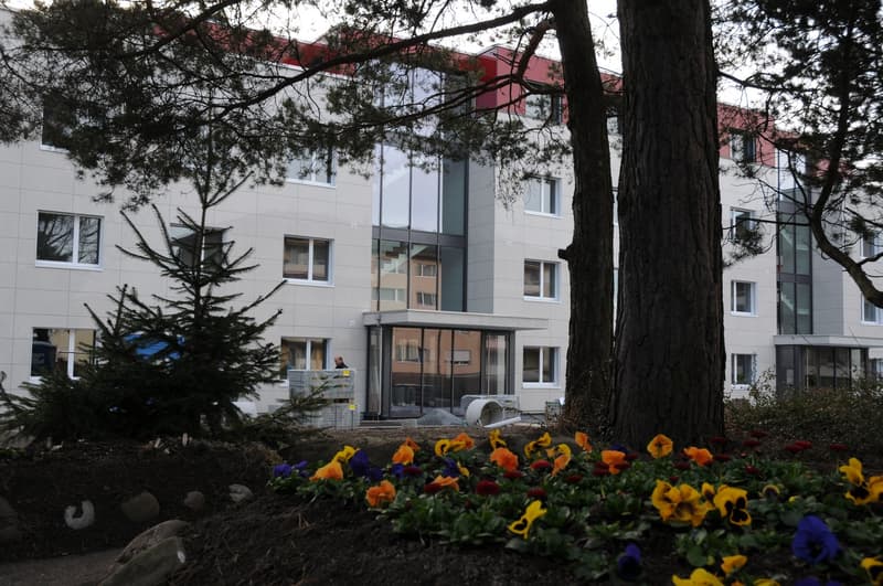 Appartement avec place assise dans le jardin : de haute qualité et proche de la ville dans le quartier populaire de Lucerne-Littau (15)