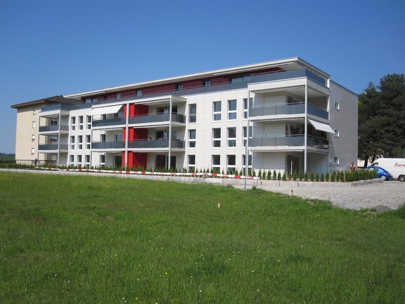 Appartement avec place assise dans le jardin : de haute qualité et proche de la ville dans le quartier populaire de Lucerne-Littau (16)
