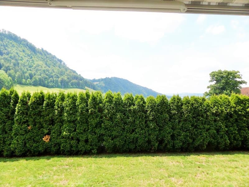 Appartement avec place assise dans le jardin : de haute qualité et proche de la ville dans le quartier populaire de Lucerne-Littau (3)