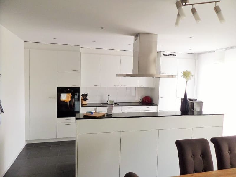 Appartement avec place assise dans le jardin : de haute qualité et proche de la ville dans le quartier populaire de Lucerne-Littau (7)