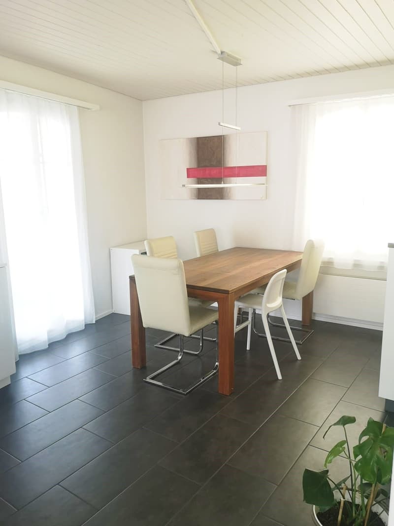 4½-Zimmerwohnung im Zweifamilienhaus (6)