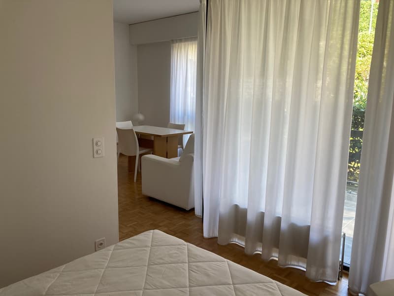 Lugano, monolocale ammobiliato in zona tranquilla (2)