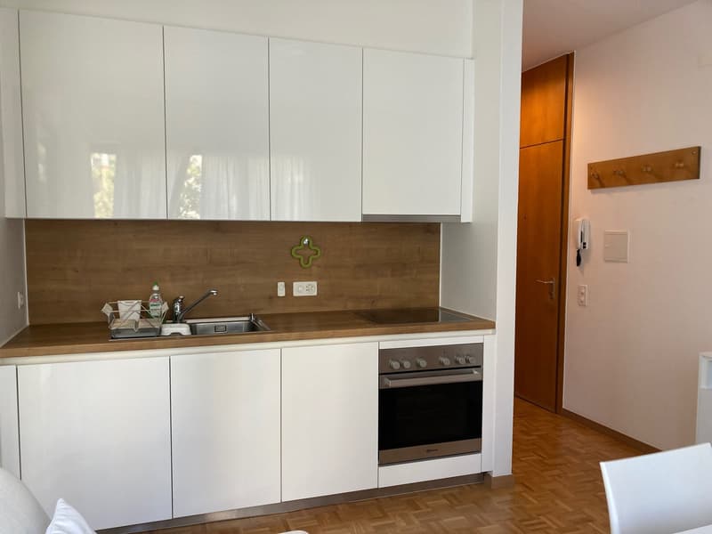 Lugano, monolocale ammobiliato in zona tranquilla (5)